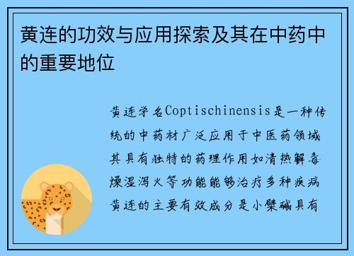 黄连的功效与应用探索及其在中药中的重要地位